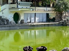 -舜耕山庄四时万和自助餐厅