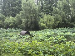 -百翠山居.家飨餐厅