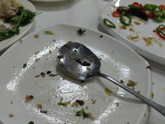 -阳江餐厅·30年老字号·粤菜海鲜大排档