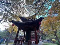-碑林公园