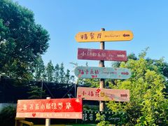 -前小桔亲子创意农场·草莓采摘·露营烧烤