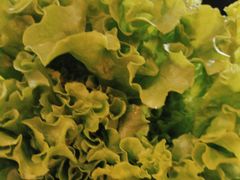 -木王宴语·野生鲜菌火锅(玉河店)