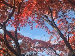 -京都御所