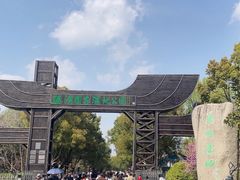 -溱湖国家湿地公园