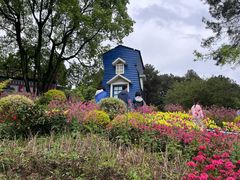 -铁山坪森林公园