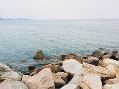 -野狸岛