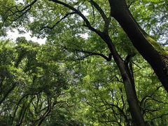-采石矶景区