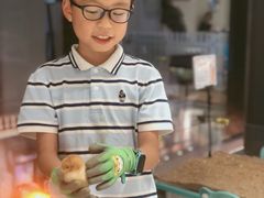 -怪兽屋·羊驼·猫咖·狗咖(俊华广场店)