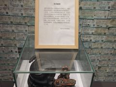 -成都失恋馆
