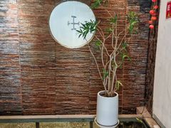 -范长伟灸草堂(甘家口店)