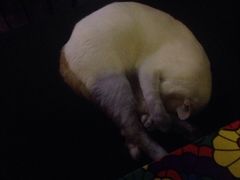 -星宿秘码(鼓浪屿老店)