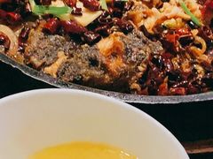 -老板恋上鱼(荣盛广场店)