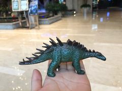 -常州环球恐龙城维景国际大酒店