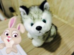 -爱玩嘉年华(江北一店)