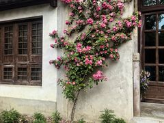 -乌村