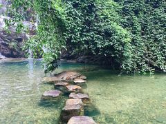 -鼎湖山风景区
