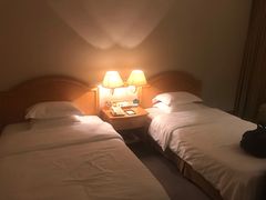 -南京维景国际大酒店(南京博物院店)