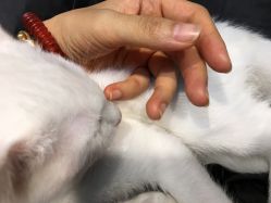 -HMC美容按摩SPA馆