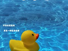 -重庆市奥林匹克体育中心-游泳跳水馆