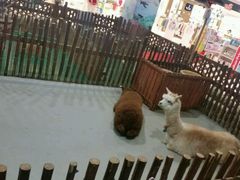 android_upload_pic-开元商城(西旺店)