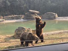 -杭州野生动物世界