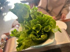 -揽月斋炙子烤肉·清真(安定门·五道营店)