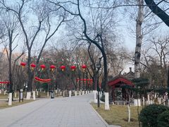 -莲湖公园