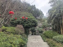 -十八棵（老龙井）御茶园(老龙井店)