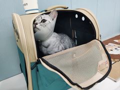 -纳吉亚猫专科动物诊疗中心(蒋宅口分院)