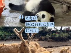 -海南热带野生动植物园