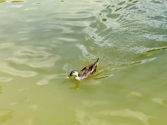 -海珠湖公园