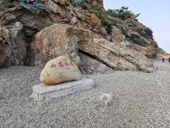 -棒棰岛宾馆景区