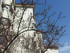 android_upload_pic-北京市海淀外国语实验学校