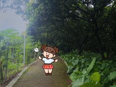 -风云岭森林公园