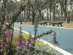 -后襄河公园