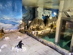 -成都浩海立方海洋公园