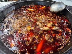 -渔小贰 稻田蛙·鱼火锅