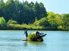 -苏州太湖国家湿地公园
