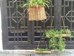 -后柳水乡