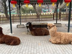 -西安秦岭野生动物园