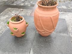 -白塘生态植物园