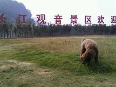 -幕燕滨江·长江观音景区