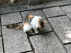 -天津盘山风景名胜区