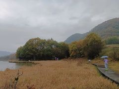 -大九湖