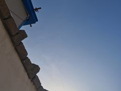 -上海滨江森林公园