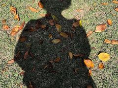 -金泽21世纪美术馆