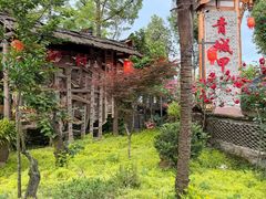 -青城甲(青城山店)