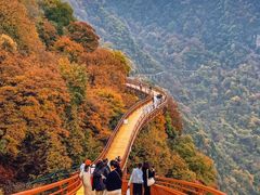 -少华山国家森林公园