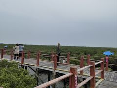 -北海金海湾红树林生态旅游区