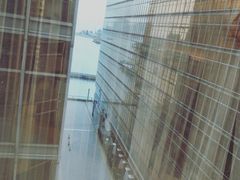 -香港皇家太平洋酒店